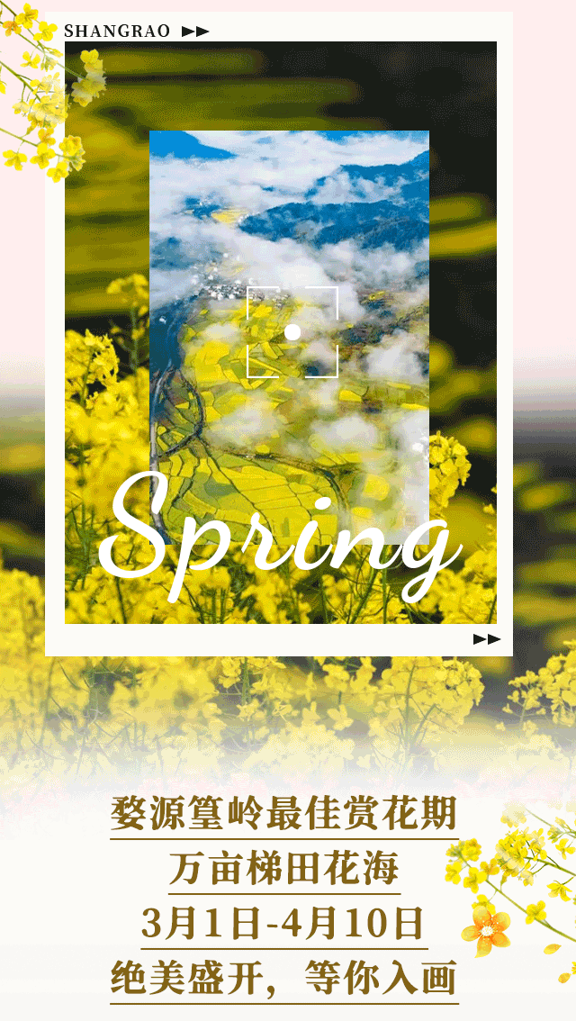 江西婺源的油菜花又开了（绝美盛开等你入画）(3)