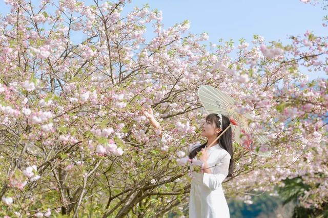 江西婺源的油菜花又开了（绝美盛开等你入画）(59)