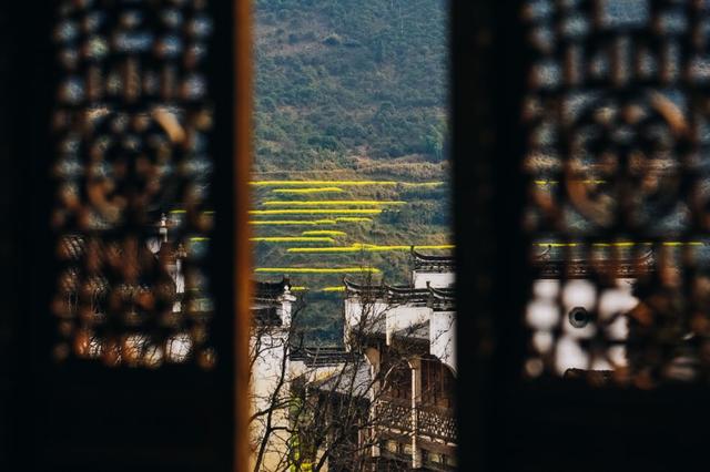江西婺源的油菜花又开了（绝美盛开等你入画）(22)