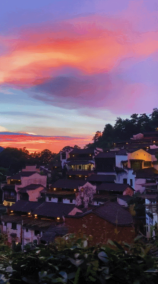 江西婺源的油菜花又开了（绝美盛开等你入画）(45)