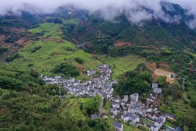 江西婺源的油菜花又开了（绝美盛开等你入画）(12)