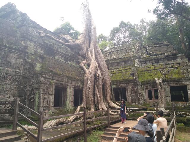 柬埔寨吴哥窟旅游好去处（柬埔寨旅游攻略）(17)