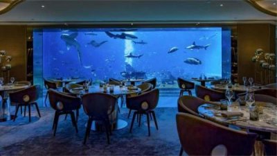 ​三亚最有趣的餐厅：不仅能看到热带鱼，甚至还能看到“美人鱼”