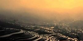 广东省内自驾游,中秋广东省内自驾游去哪里好玩图4