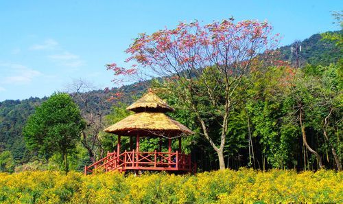 广东自驾游路线推荐