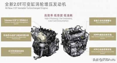 ​西北骄奶白金的价格