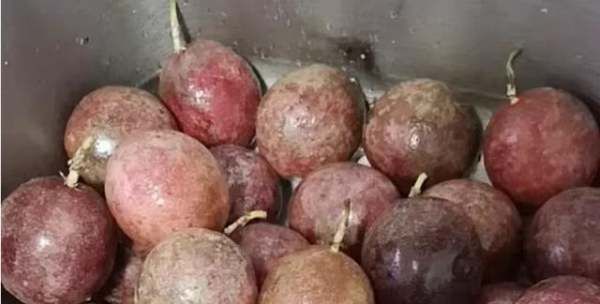 百香果外皮能吃,百香果壳可以直接吃吗图4