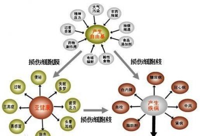 ​人体自由基是什么东西,什么是自由基