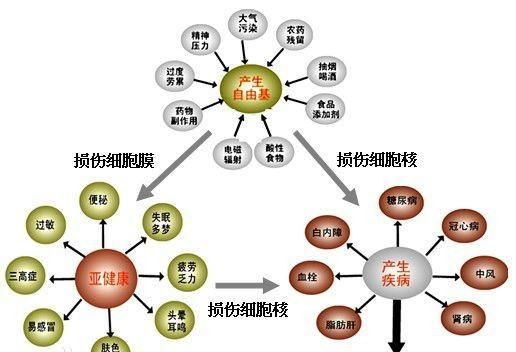 人体自由基是什么东西,什么是自由基图1