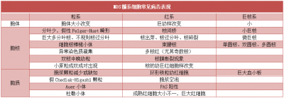 ​mds是什么病 史上最详细 MDS 异常细胞形态解读笔记