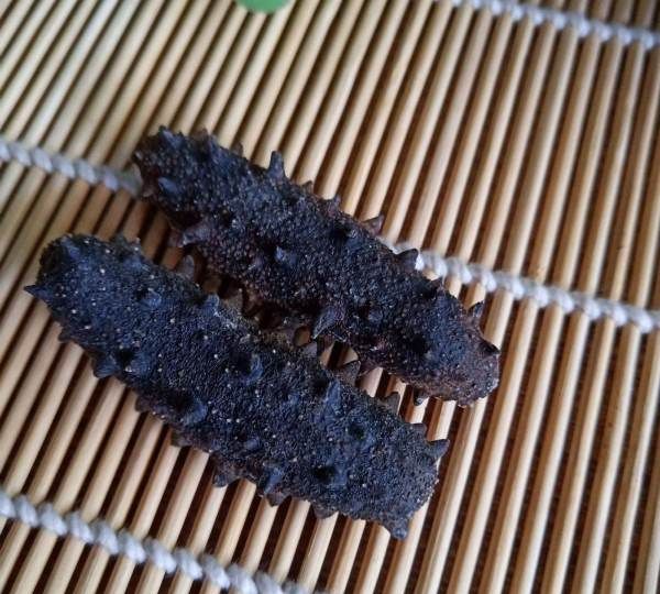 养殖海参和野生海参的区别在哪里,野生海参与养殖海参的五大区别是什么呢图2