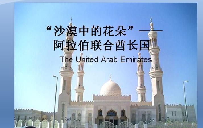 阿联酋陈志祥简介