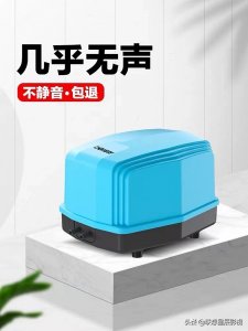 ​观赏鱼用氧气泵——几款经典耐用氧气泵分享