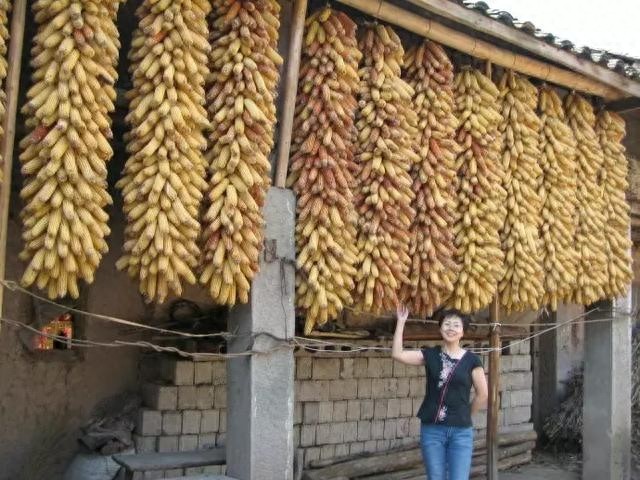 鄂西行：探访利川神秘鱼木寨