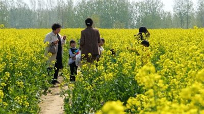 ​邓城镇：以文化禀赋和旅游资源激活消费市场