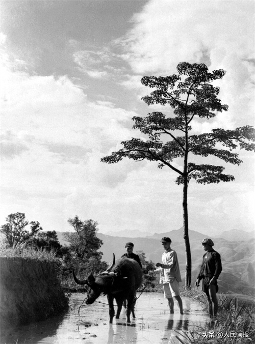 跨越,从原始社会直接进入到社会主义的苦聪人