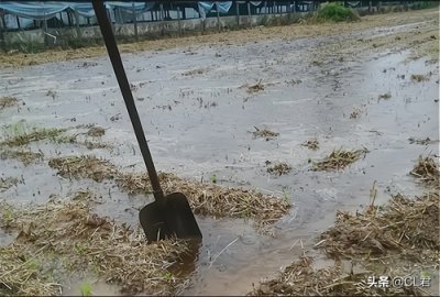 ​“旱涝全看六月初一”，为何？农历六月初一啥日子？下半年下雨吗