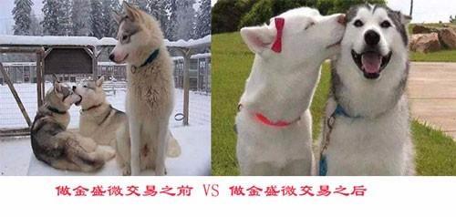 吴尊老婆林丽莹正面照首次曝光,网友:尊嫂好漂亮