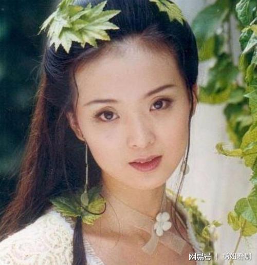 王艳演过的电视剧，李佳璘和王艳合作的电视剧,本文共（3237字）