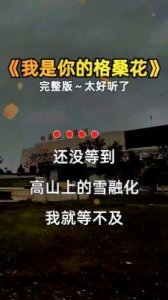 ​《盛开的雪莲花》与《我的格桑花》歌词解析：心中永恒的爱与遗憾