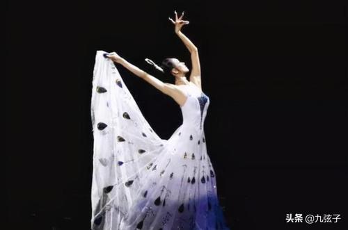 杨丽萍简历及个人资料简介,胡宝善(杨丽萍哪里人) 杨丽萍简历及个人资料简介,胡宝善(杨丽萍哪里人)