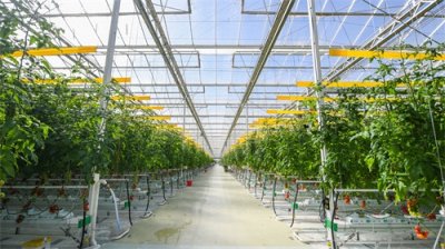 智能温室大棚，未来农业发展的重要方向之一