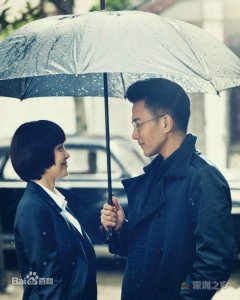 ​《蜂鸟出击》在哪个台播出几点播 总共多少集 每晚播出几集