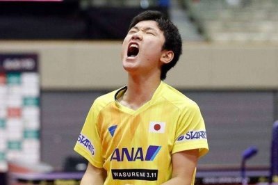 ​张本智和是哪国人 赢了马龙被国人骂惨了