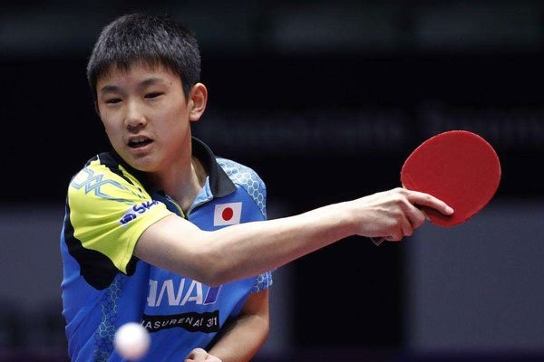 张本智和是哪国人 赢了马龙被国人骂惨了