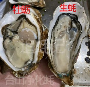​生蚝和牡蛎一样吗？你知道怎么分辨生蚝和牡蛎吗？