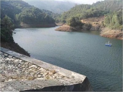 ​龙岩长汀正方水库发现淡水水母