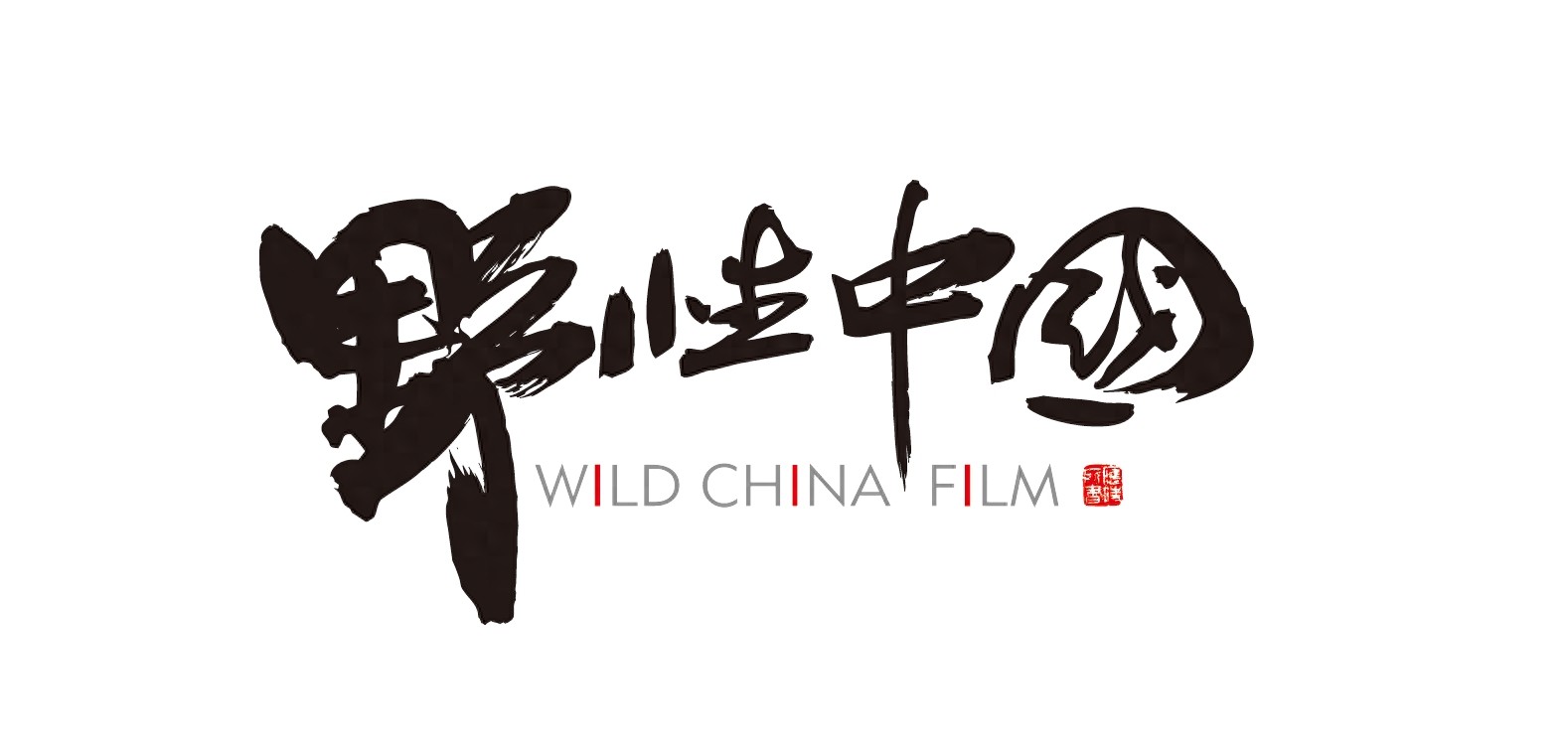 追寻儿时记忆里的常客——萤火虫