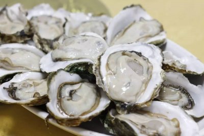 ​漫谈“海洋牛奶”牡蛎